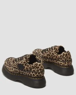 Zapato Buzz de leopardo con 5 ojales in Leopardo